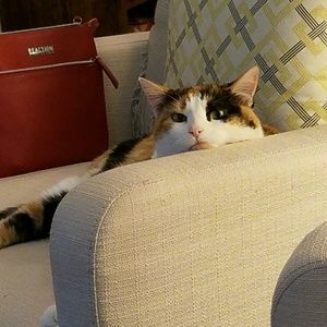 Meet your Posher, Barbara